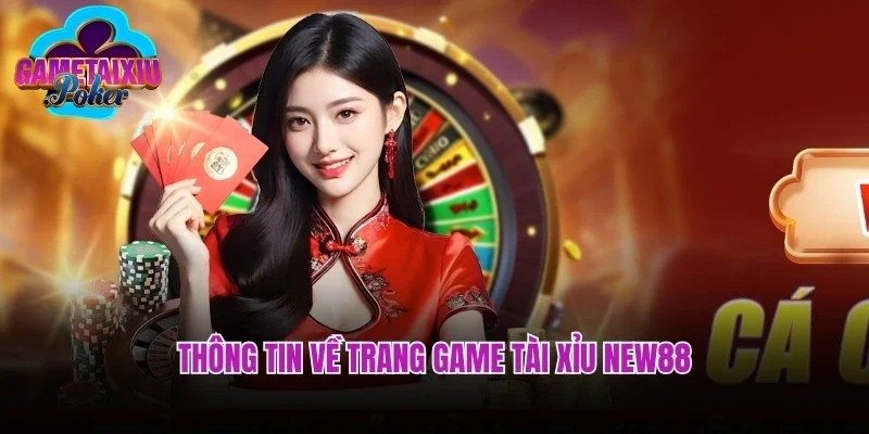 Thông tin về trang game tài xỉu New88