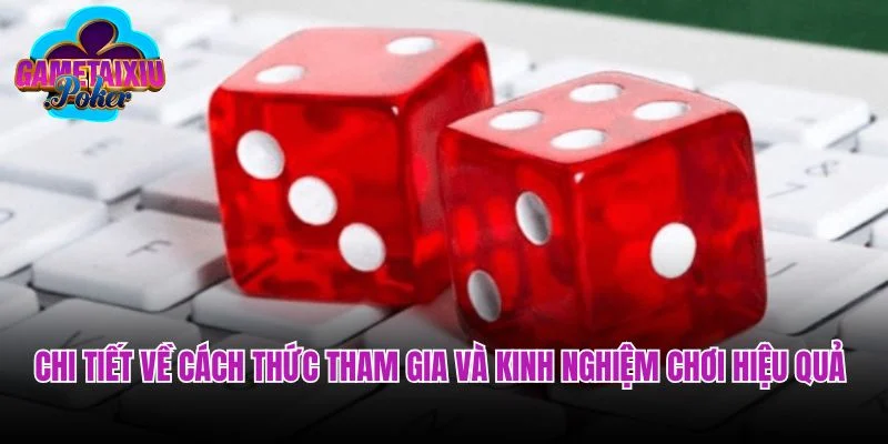 Chi tiết về cách thức tham gia và kinh nghiệm chơi hiệu quả