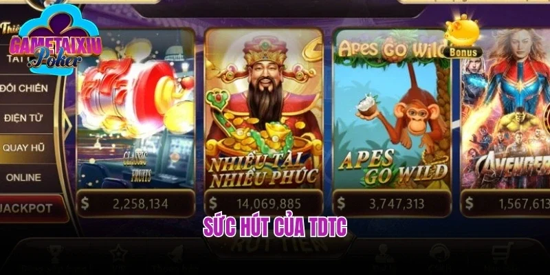 Sức hút của TDTC